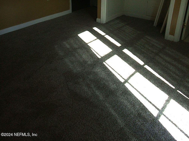 1113 Fieldcrest Rd, Jasper, FL 32052 - detailed view of carpet flooring