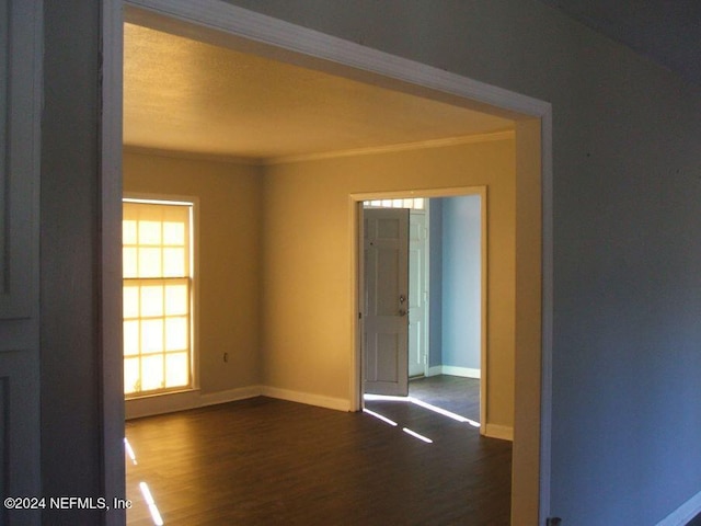 spare room with crown molding and dark hardwood / wood-style floors