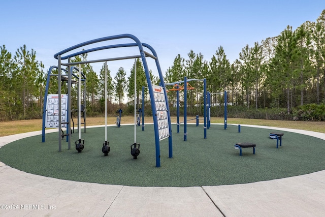 view of jungle gym