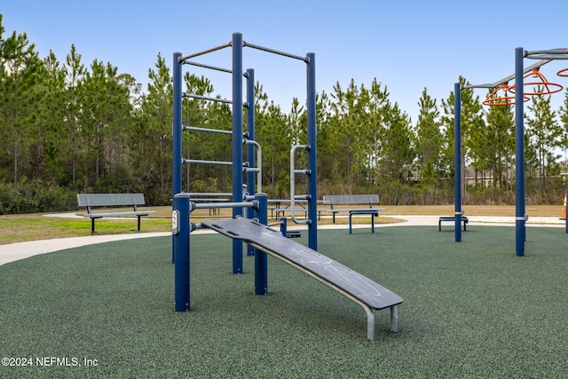 view of jungle gym