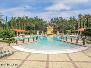 view of pool featuring a patio area