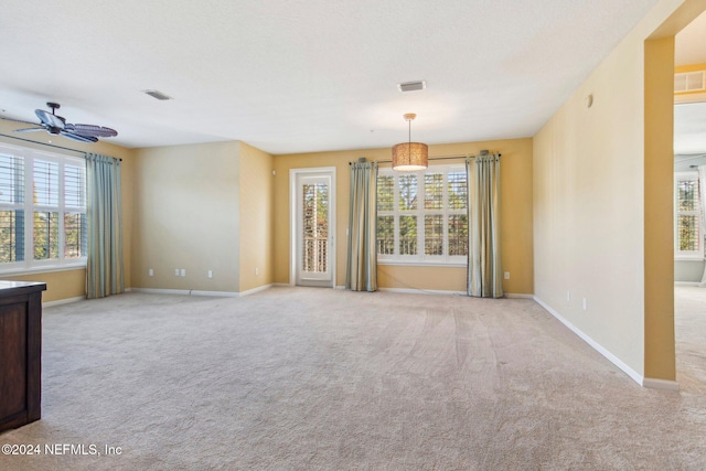 empty room featuring light carpet and a wealth of natural light