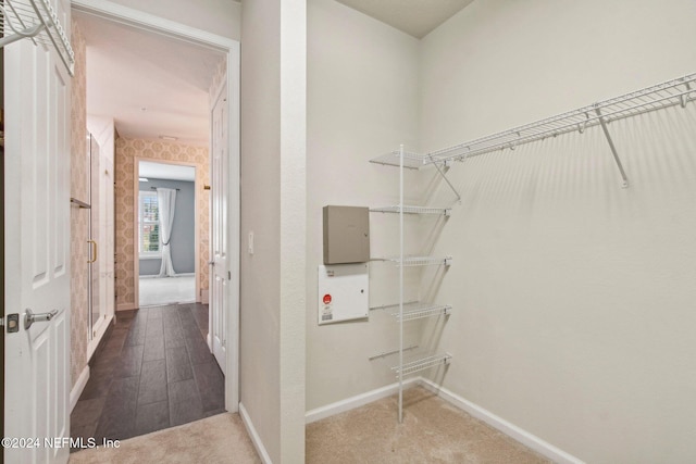 walk in closet with wood-type flooring