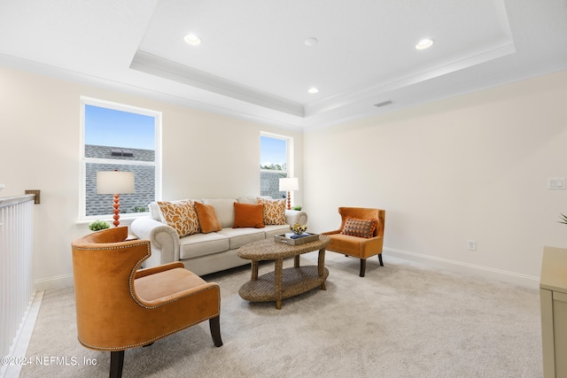 carpeted living room featuring a raised ceiling