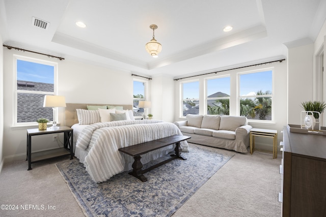 carpeted bedroom with a raised ceiling