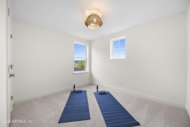 exercise room featuring carpet flooring