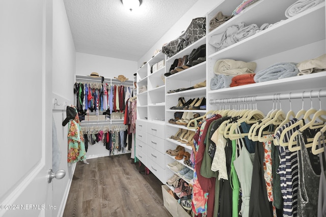 spacious closet featuring hardwood / wood-style floors