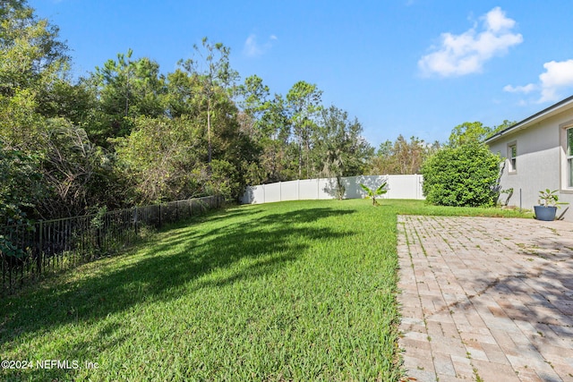 view of yard with a patio area