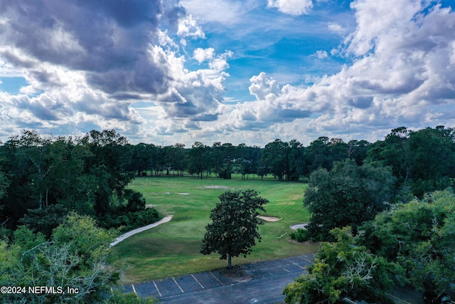 view of community featuring a yard