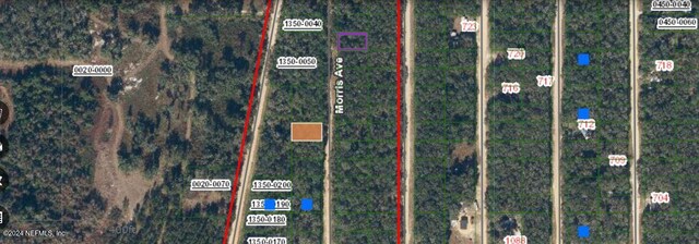 Listing photo 3 for 0 Morris Ave, Interlachen FL 32148