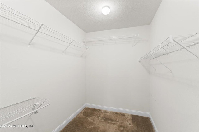 walk in closet with carpet flooring