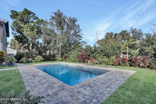 view of swimming pool featuring a lawn and a patio