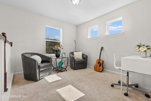 carpeted home office featuring a wealth of natural light