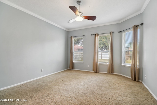 carpeted empty room featuring crown molding and ceiling fan