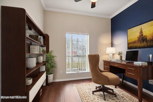 home office featuring a wealth of natural light, ceiling fan, dark hardwood / wood-style floors, and ornamental molding