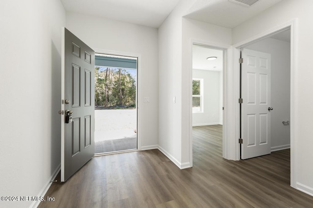 foyer with dark wood-type flooring