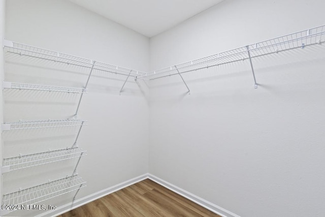 walk in closet with hardwood / wood-style flooring