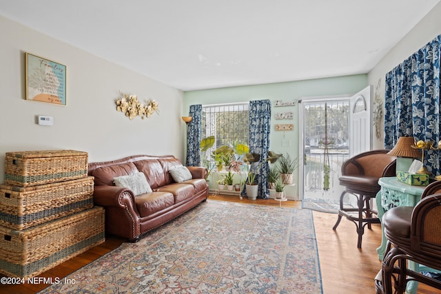 living room with hardwood / wood-style floors