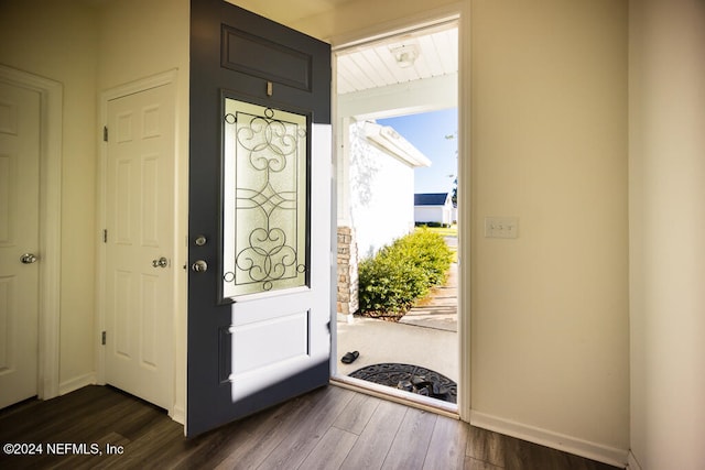 entrance foyer featuring dark hardwood / wood-style floors