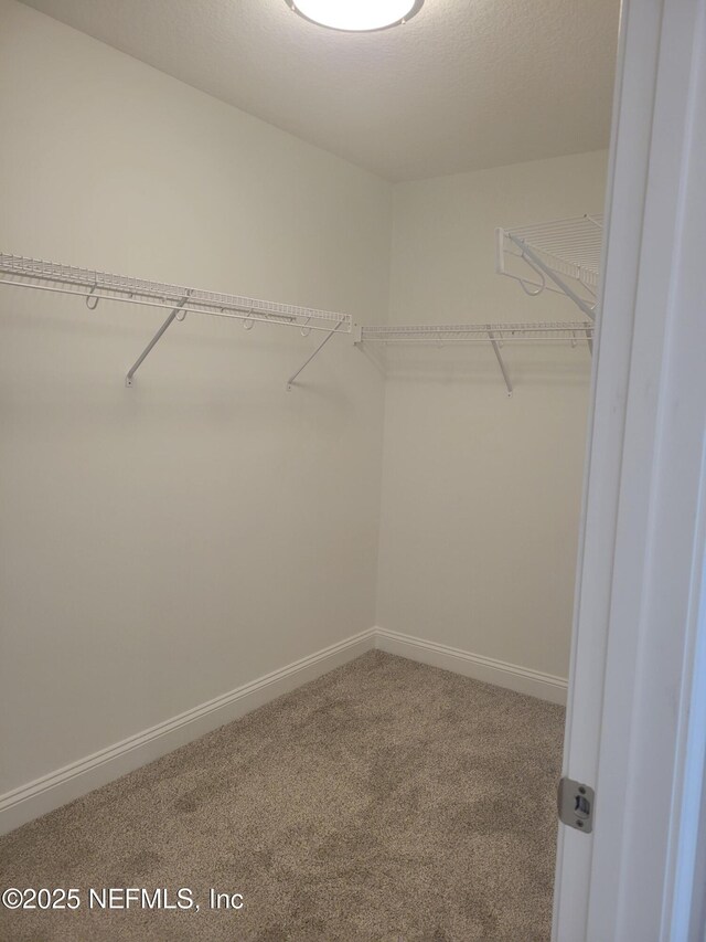 spacious closet featuring carpet flooring