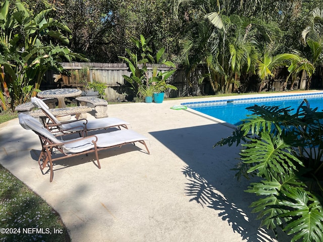 view of swimming pool with a patio