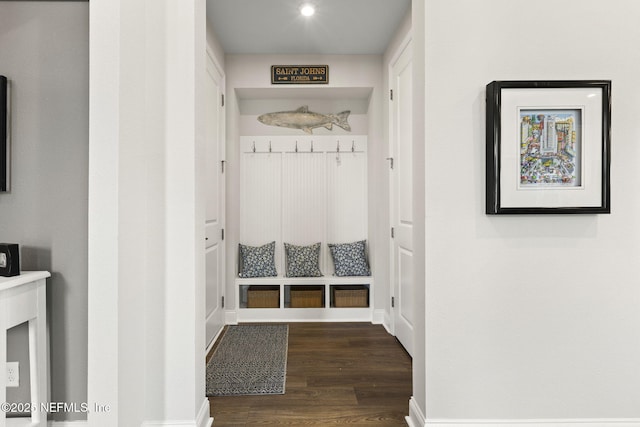 mudroom with baseboards and dark wood-style flooring