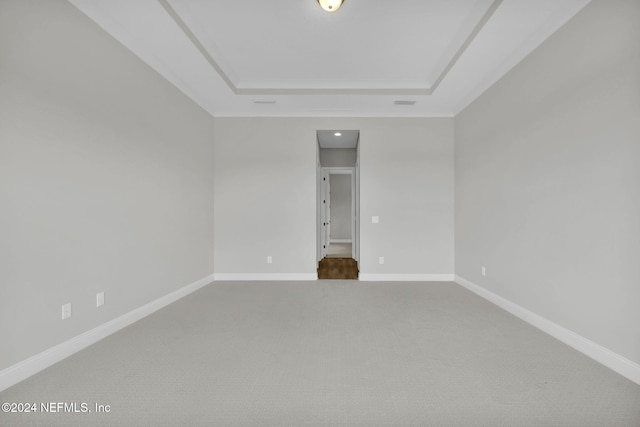 unfurnished room featuring carpet and a raised ceiling