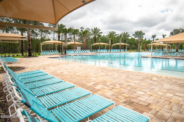 view of pool featuring a patio area