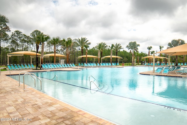 view of swimming pool with a patio area