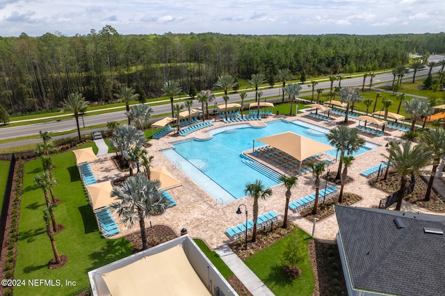 view of pool featuring a patio