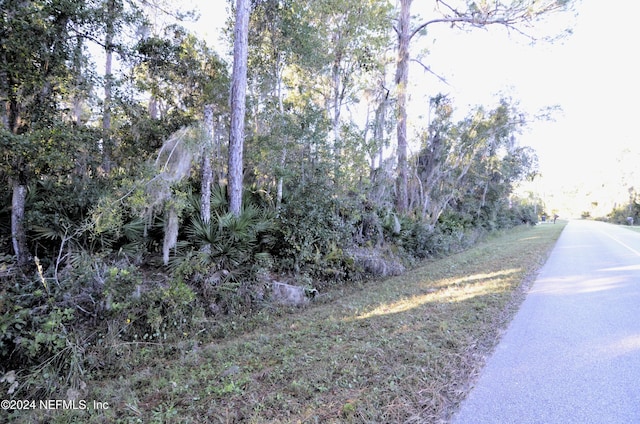 Listing photo 3 for 0 Paradise Shores Rd, Crescent City FL 32112