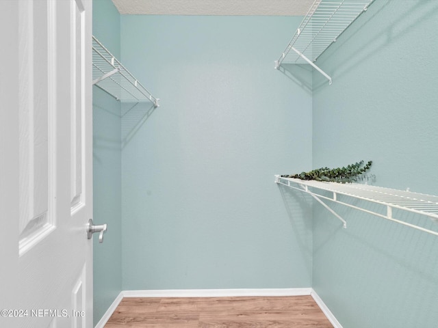 walk in closet featuring wood-type flooring