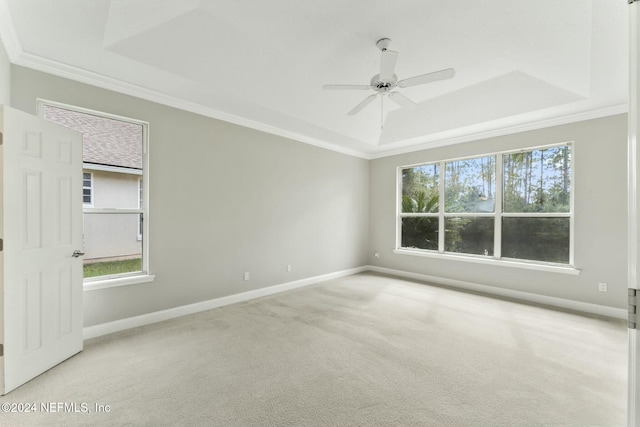 empty room featuring a tray ceiling, a healthy amount of sunlight, and light colored carpet