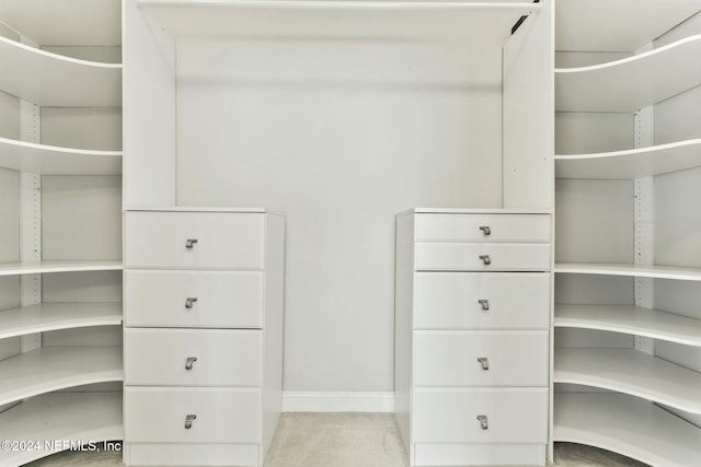 view of spacious closet