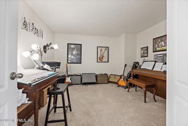 office with a textured ceiling and light colored carpet