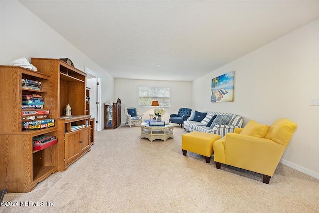20 Sadie Ct, Saint Augustine, FL 32095 - living area with light carpet
