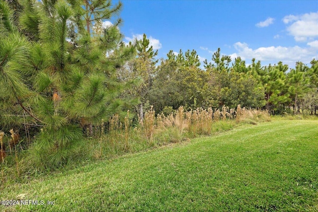 20 Sadie Ct, Saint Augustine, FL 32095 - view of grassy yard