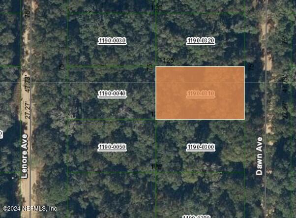 00000 Dawn Ave, Interlachen FL, 32148 land for sale