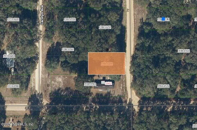 0 Lenore, Interlachen, FL 32148 - photo 1