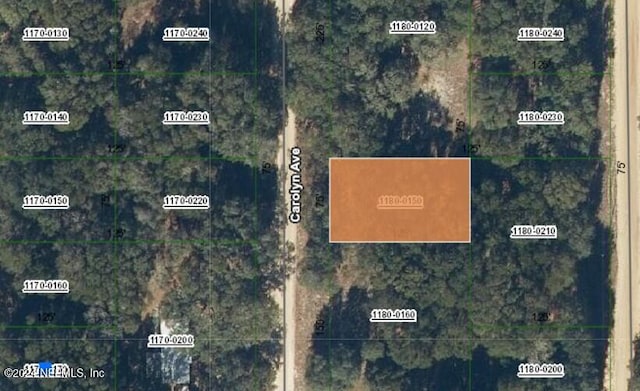 0000 Carolyn Ave, Interlachen FL, 32148 land for sale