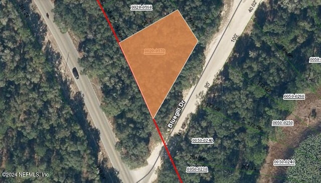 0000 Bluegill, Interlachen, FL 32148