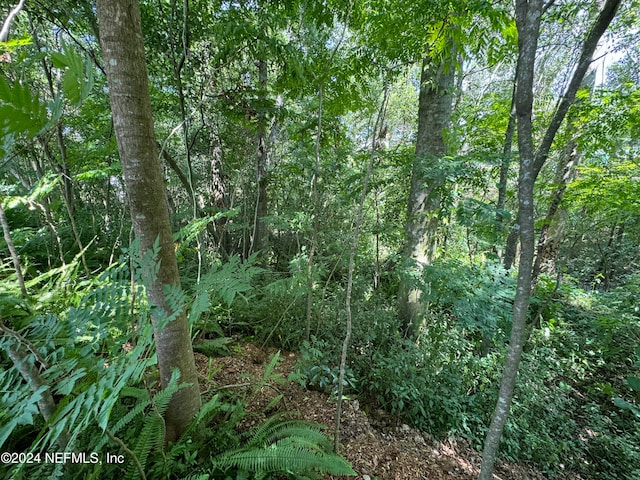 view of landscape