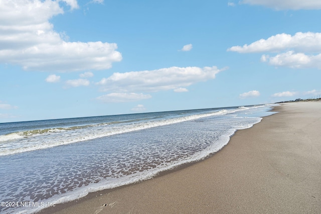 water view featuring a beach view