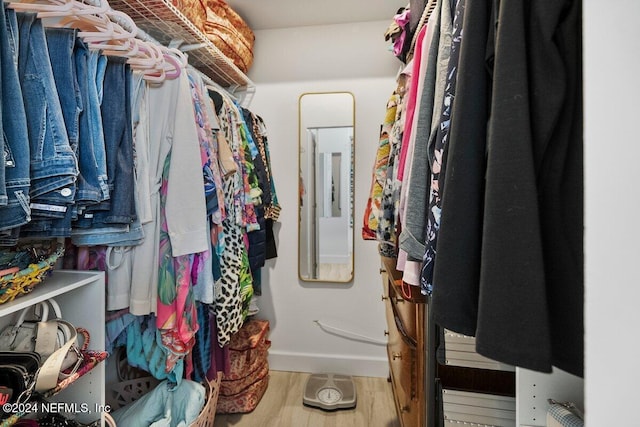 spacious closet with electric panel and wood finished floors