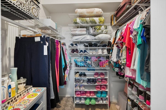 view of spacious closet