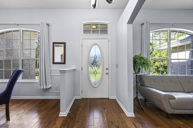 entrance foyer featuring dark hardwood / wood-style floors and plenty of natural light