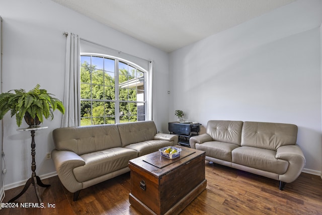 living room with dark wood-type flooring and a textured ceiling