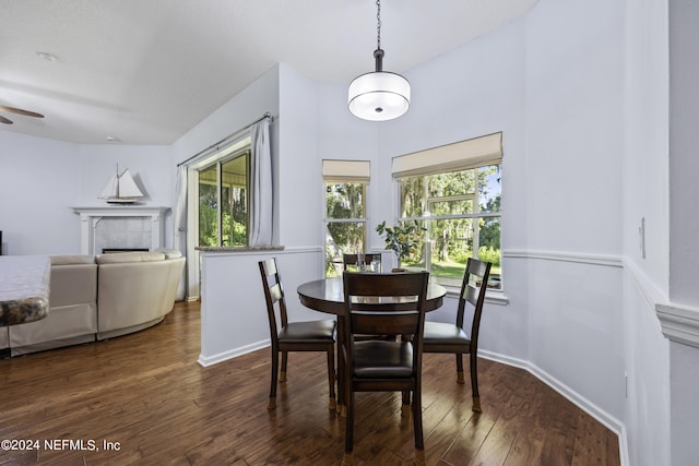 dining room featuring ceiling fan, a healthy amount of sunlight, and dark hardwood / wood-style floors