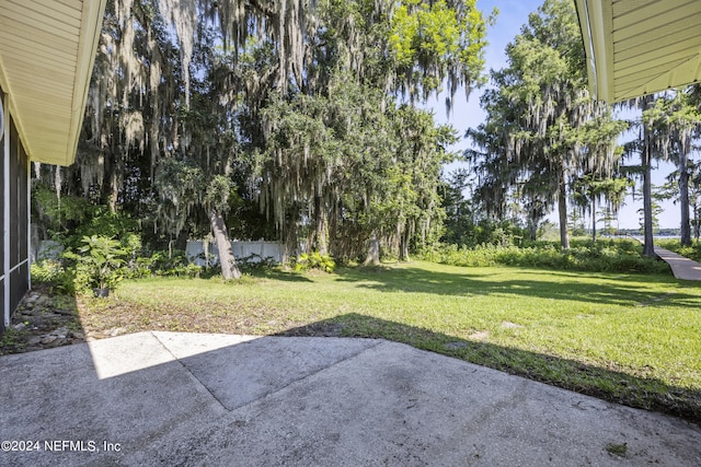 view of yard featuring a patio area