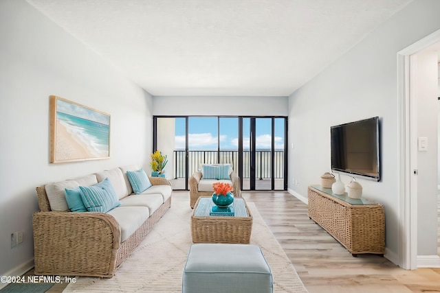 living room with light hardwood / wood-style floors